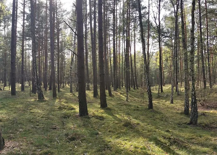 M&K Apartamenty - Morska Bryza, Sobieszewo- Wyspa Sobieszewwska